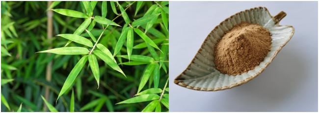 Bamboo Leaf Extract