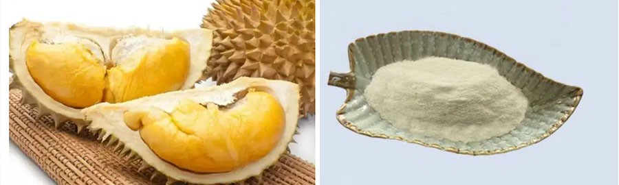 high quality Durian Fruit Powder