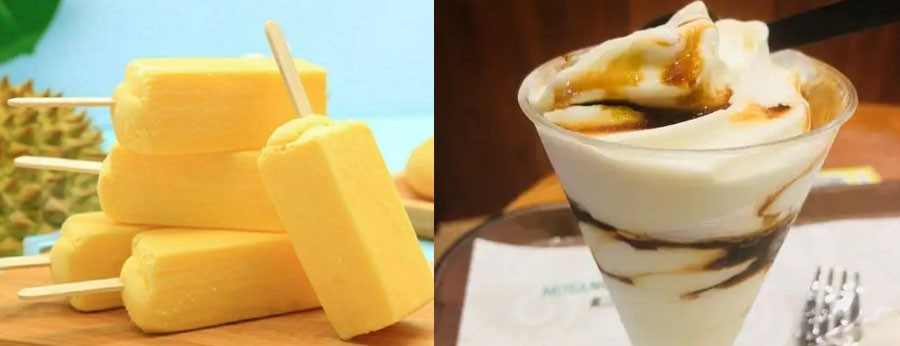 Durian Fruit Powder factory