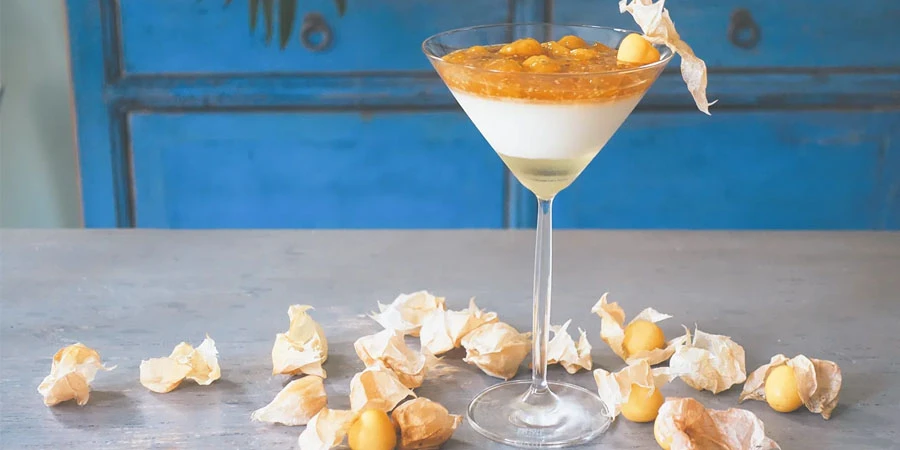 Physalis Alkekengi Powder suppliers
