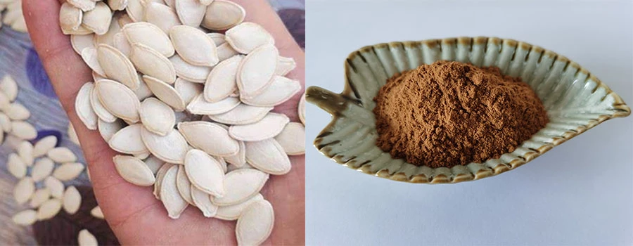Cucurbita Pepo Extract factory