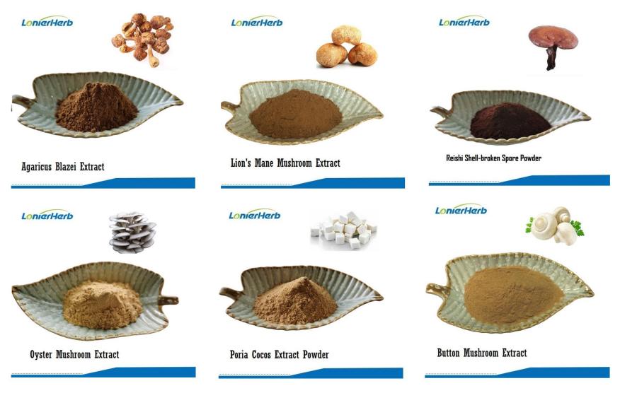 Mushroom Extract, Mushroom Powder List