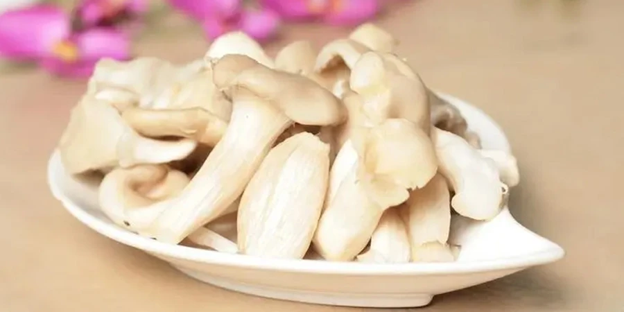 Oyster Mushroom Extract Oyster Mushroom Extract