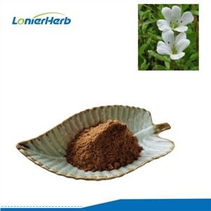 Bacopa Monnieri ekstrè poud