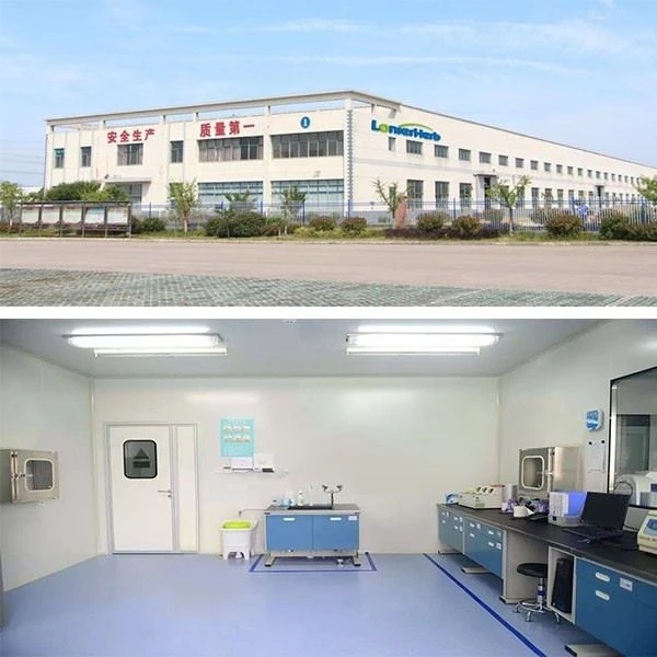 Factory and lab