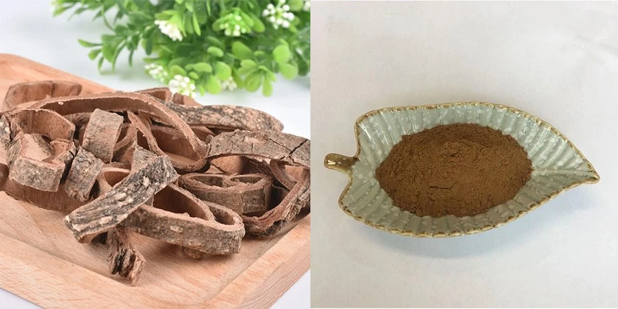 Cortex Pseudolaricis Extract Free Sample Cortex Pseudolaricis Extract Free Sample
