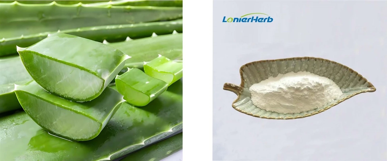Aloe Vera Gel Freeze Dried Powder Aloe Vera Gel Freeze Dried Powder